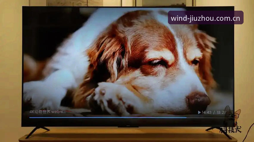 九州体育平台最新动态：v2.3.0版本上线，九州体育最新版本重塑智能赛事体验