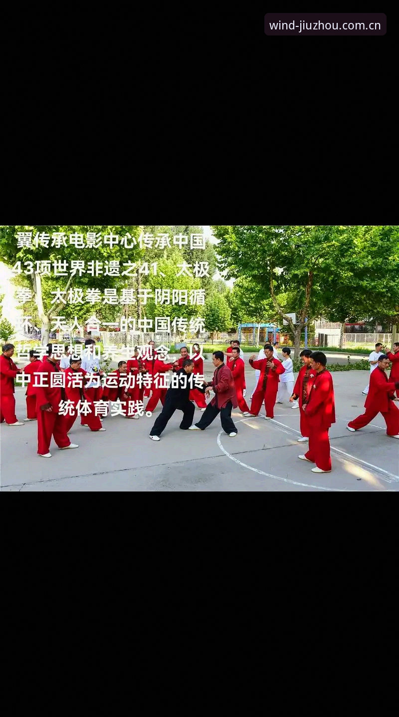 九州体育专业体育常见问题深度解析：专业平台vs普通平台的核心差异